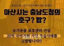 유기동물보호센터 공모, 충남도가 희망고문