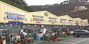 20만 명 찾는 보령 천북굴축제 20일 개막