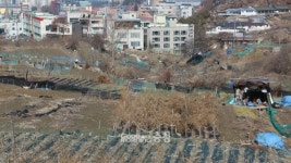 월평공원 개발 반대에 깊어진 대전시의 고민