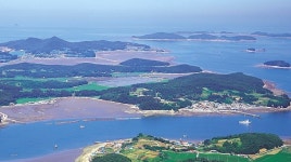 충남도, 보령 원산도에 자연휴양림 추진