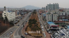 홍성군, 4억 투입해 명품 가로수길 조성