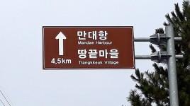 충남 태안 최북단 만대항에 가보니...