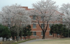 논산연무고, 대입 실적 발군