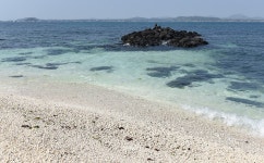 [포토뉴스]섬속의 섬 우도…봄길을 걷다