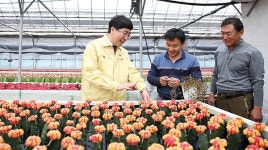 (주)자란만뱃놈 | 서산서 자란 선인장 2만 주 네덜란드 수출