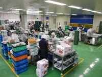 금산지역 신선채소 해외시장 진출 맑음