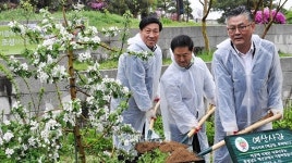 흥인지문에 만들어진 예산 사과나무길