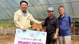 서산시 지곡면에서 34년째 이어진 송아지 기부