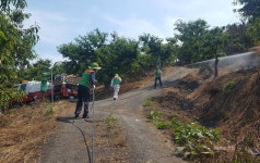 세종자율방재단, 장군면서 방역작업 실시