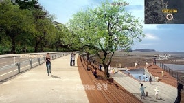 태안군, 영목항~당암항 52.8km 둘레길 조성