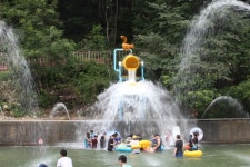 금산산림문화타운 여름맞이 쾌적성 강화