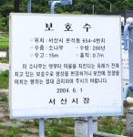 [나무, 천년의 세월을 담다⑲] 수 없이 베어지며 인류 문명에 기여...서산시 온석동 소나무