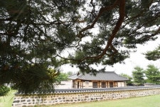 [나무, 천년의 세월을 담다 21] 마음의 안식을 주는 당진 솔뫼성지 소나무 숲