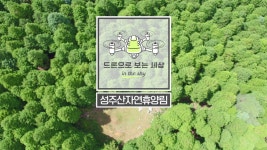 [동영상] 보령 성주산자연휴양림 : : 드론으로 보는세상