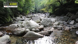 [동영상] 소백산 다리안계곡 : : 자연의소리