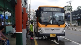 충남 버스비 무료 두달…75세 확인 어려워