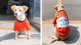 금마면에 특별한 공무원이 있다?