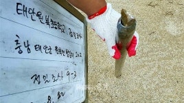 돈 때문에 못 돌아가는 태안 방갈분교 아이들