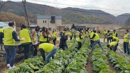 1만 명 다녀간 공주 예하지마을의 비결