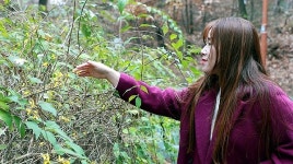 [포토뉴스] 서산 부춘산에 개나리 활짝