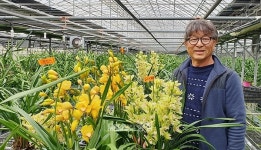 공주 해평농장 심비디움 호주·중동 수출