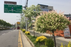 바람 불어 좋은 도시, 대전… 미세먼지, 걱정 마!
