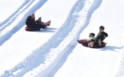 [포토뉴스]설원 속 눈썰매장, 추워도 즐겁다