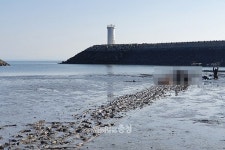 보령 녹도 해변서 60대 남성 숨진 채 발견