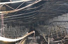 논산 돈사서 불, 돼지 89마리 죽어