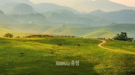 서산시, 한우목장에 최고 수준 산책길 추진