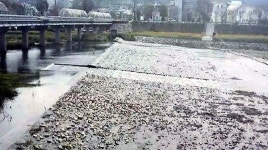 공주시, 1223억 규모 금강 보 관련 사업 건의