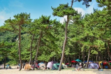 코로나19 걱정 덜어줄 한적한 해수욕장, 충남 추천 3곳은?