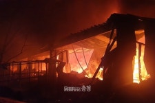 아산 한 돈사에서 불…돼지 1500마리 죽어