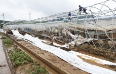 [포토뉴스]천안 폭우 피해 복구 현장구슬땀