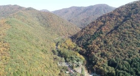 보령시, 성주산에 충남 대표 산림레포츠단지 추진