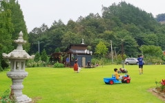 [포토뉴스]이번 주말 여기 어때? 따라와~~~전북 진안 메타세콰이아 길과 편백나무 숲