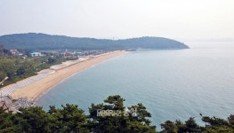 당진 난지도관광지 체비지 한 달 사이 10필지 팔려