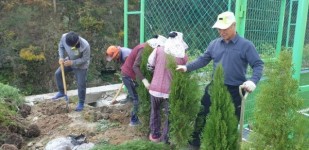 금산 진산면 막현리, 측백나무 산촌마을 조성