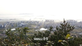 충남도청 소재지 예산·홍성군, 시 승격 추진
