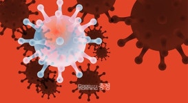 서산 기도원 13명 확진...태안 근흥면사무소 임시 폐쇄