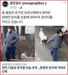 조국, 검찰일보 〈중앙일보〉에 대한 공개질문…냄새 난다
