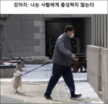 윤석열 미담을 악담으로 망쳐놓은 〈중앙일보〉 애완견 취재