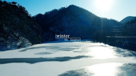 [힐링영상] 하얀 눈꽃이 내려앉은 메타세쿼이아 숲길 by 장태산