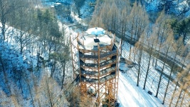 [힐링영상] 하얀 눈꽃이 내려앉은 메타세쿼이아 숲길 by 장태산