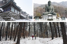 [충남 치유의 길...불교 순례길1] 태조 왕건이 머물던 산, 천안 태조산 솔바람길