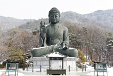 [충남 치유의 길...불교 순례길1] 태조 왕건이 머물던 산, 천안 태조산 솔바람길