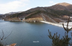 [충남 치유의 길…불교 순례길2] 아산 봉곡사 천년의 숲길