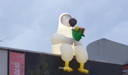 세종 첫마을, 문화예술특화로 날개짓