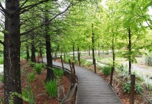 [포토뉴스]홍가시 매력에 푹~~~, 인증샷 명소 태안 청산수목원