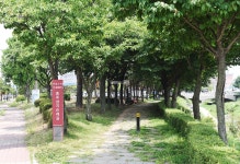 [충남 치유의 길…천주교 순례길3] 홍성 도심 속 순교터